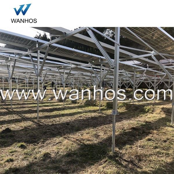 Solar Farm And Agriculture